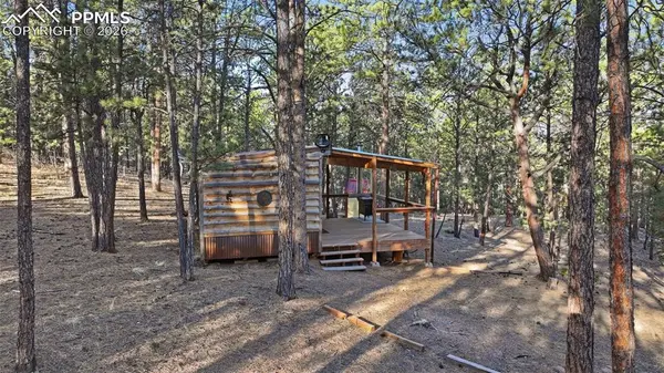 163 Ouray RD, Florissant, CO 80816