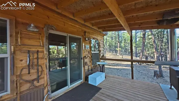 163 Ouray RD, Florissant, CO 80816