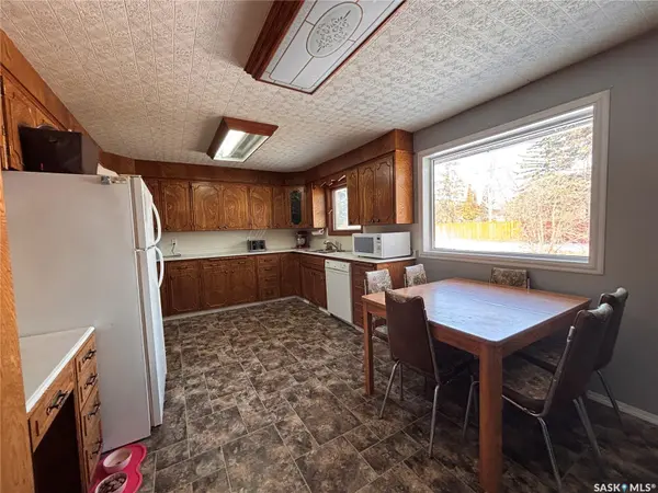 619 2nd AVENUE N, Alsask, SK S0L 1A0