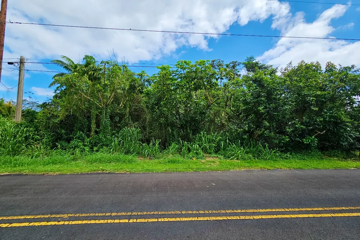 KAHALA ST #Lot 22, Pahoa, HI 96778