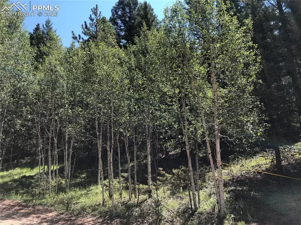 3015 N Mountain Estates RD, Florissant, CO 80816