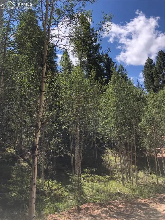 3015 N Mountain Estates RD, Florissant, CO 80816