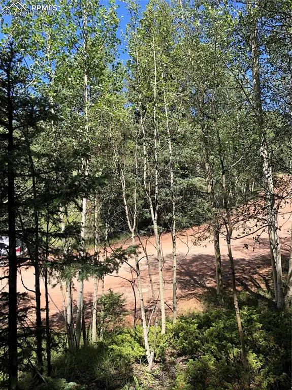 3015 N Mountain Estates RD, Florissant, CO 80816