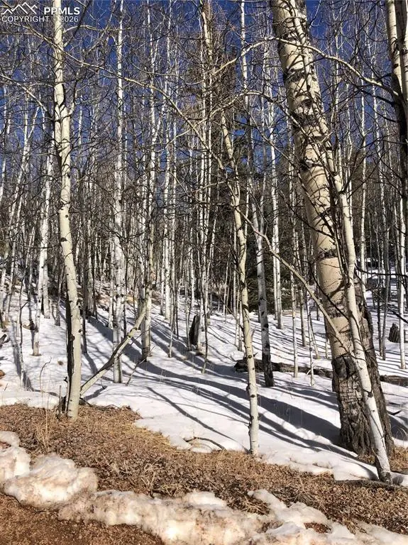 3015 N Mountain Estates RD, Florissant, CO 80816