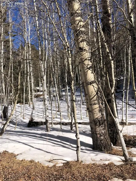 3015 N Mountain Estates RD, Florissant, CO 80816