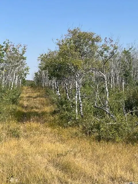 Rural Address, Corman Park Rm No. 344, SK S0K 2L0