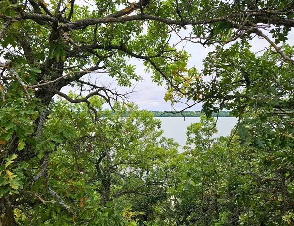 129 Gold Coast RD, Pelican Lake, MB R0K 1R0