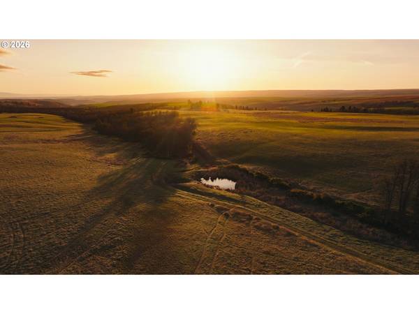 81127 RAIL HOLLOW RD, Dufur, OR 97021