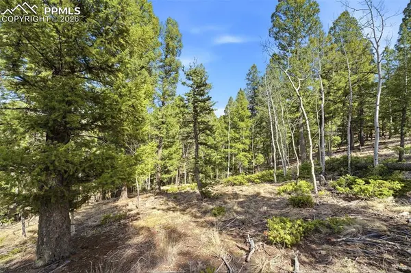 278 Cherry Lake DR, Divide, CO 80814