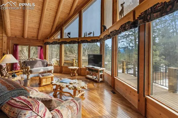 919 Matterhorn DR, Florissant, CO 80816