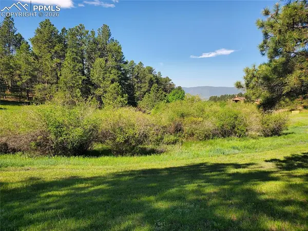 15834 Kansas Pacific CT, Monument, CO 80132