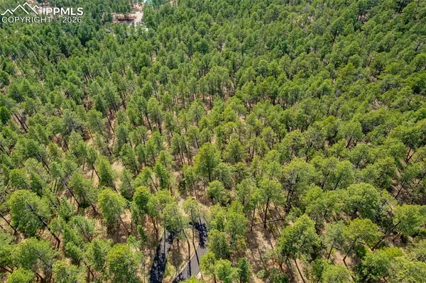 15950 Roller Coaster RD, Colorado Springs, CO 80921