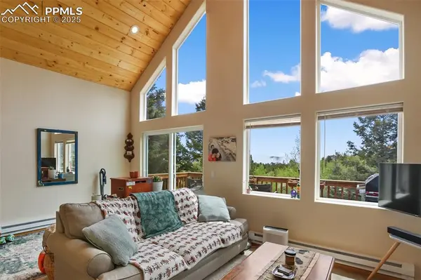 501 Wakanda TRL, Woodland Park, CO 80863