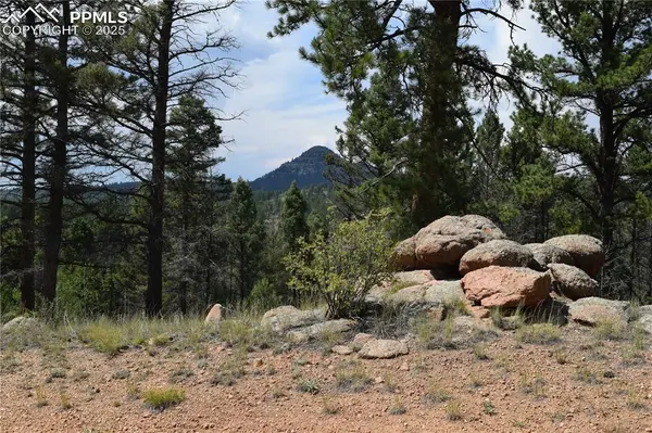 93 Kiowa Creek TRL, Florissant, CO 80816