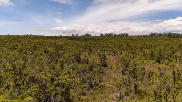 15-3446 GLENWOOD RD, Volcano, HI 96785