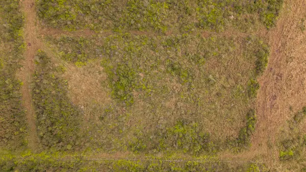 15-3446 GLENWOOD RD, Volcano, HI 96785