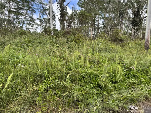 SILVERSWORD CT, Kurtistown, HI 96760