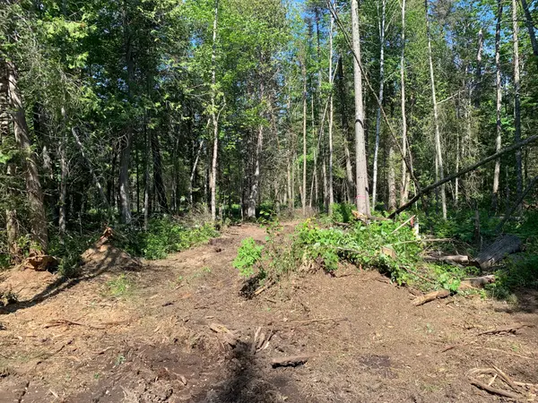 522 ALBERT ST N, Strong, ON P0A 1Z0