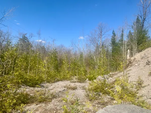 0 PT LT 32 COUNTY ROAD 49 RD, Trent Lakes, ON K0M 1A0