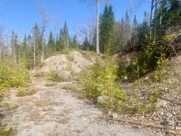 0 PT LT 32 COUNTY ROAD 49 RD, Trent Lakes, ON K0M 1A0