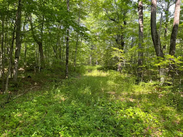 243 PRISQUE RD, Georgian Bay, ON L0K 1S0