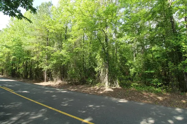 2 Mott Road, Plain Dealing, LA 71064