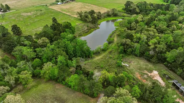 1029 An County Road 185, Elkhart, TX 75839