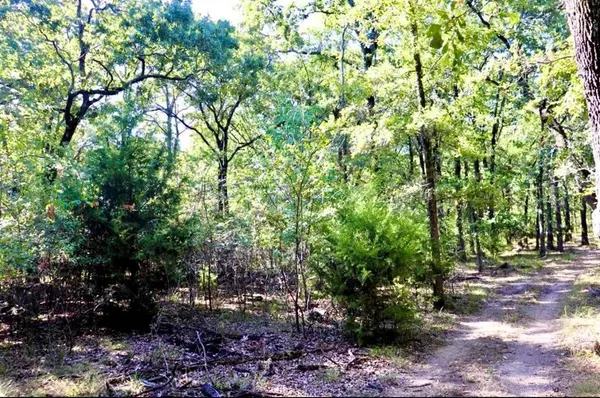 804 Wood Duck Trace, Quinlan, TX 75474