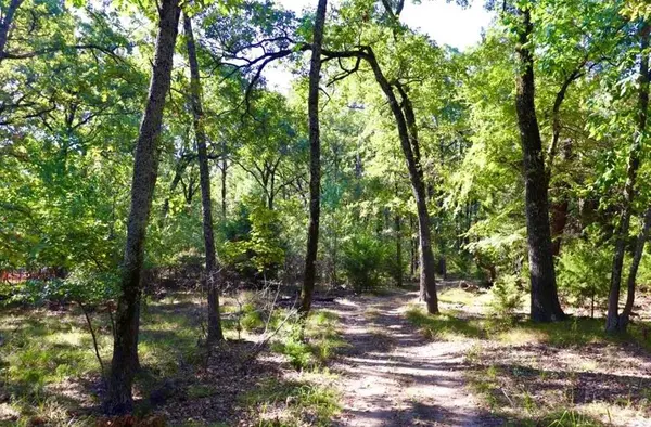 804 Wood Duck Trace, Quinlan, TX 75474