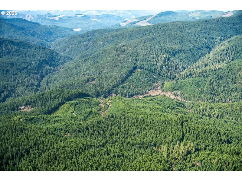 USFS 71 RD, Culp Creek, OR 97434