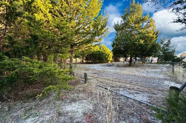 TBD County Road 919 #Lot 23A, Nevada, TX 75173