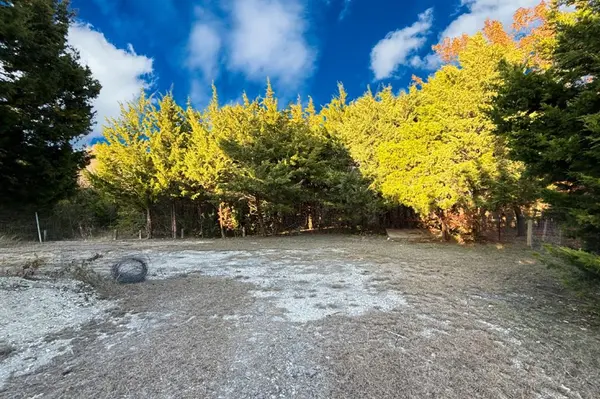 TBD County Road 919 #Lot 23A, Nevada, TX 75173