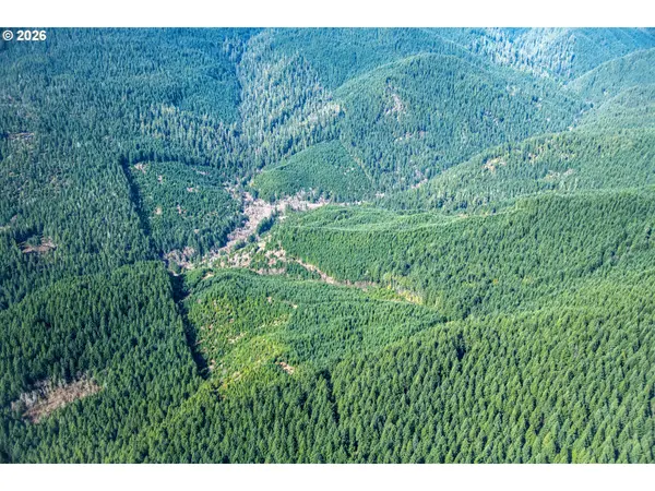 USFS 71 RD, Culp Creek, OR 97434