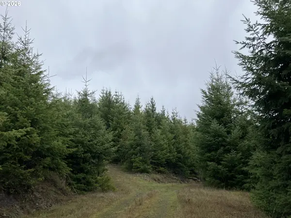 USFS 71 RD, Culp Creek, OR 97434