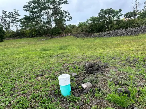 15-1658 16TH AVE, Keaau, HI 96749