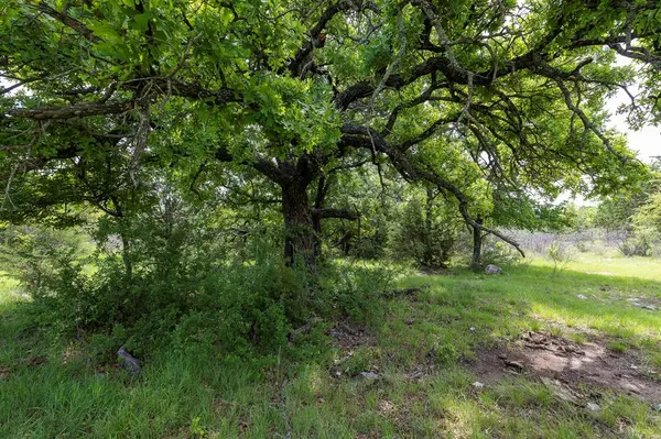 525 Jack Rabbit Circle, Zephyr, TX 76890