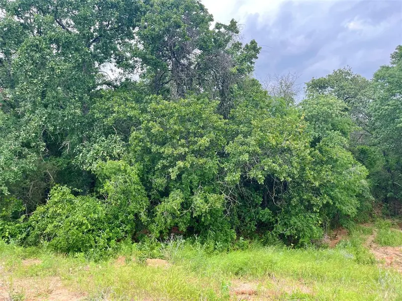 Lot 18 Kilkenny, Poolville, TX 76487