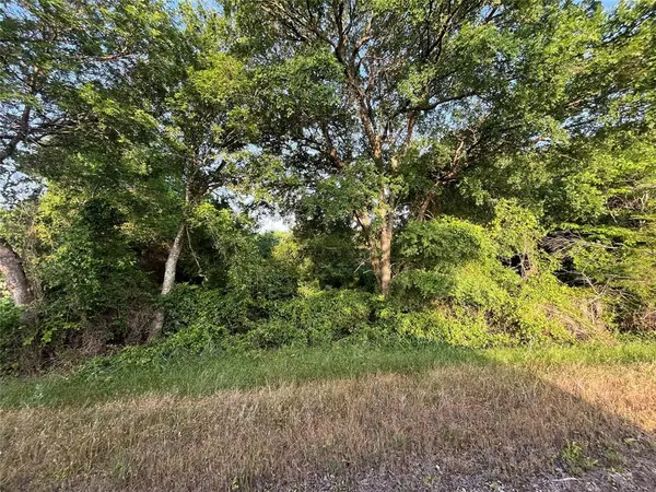 15.35 ACRES LCR 219, Coolidge, TX 76635