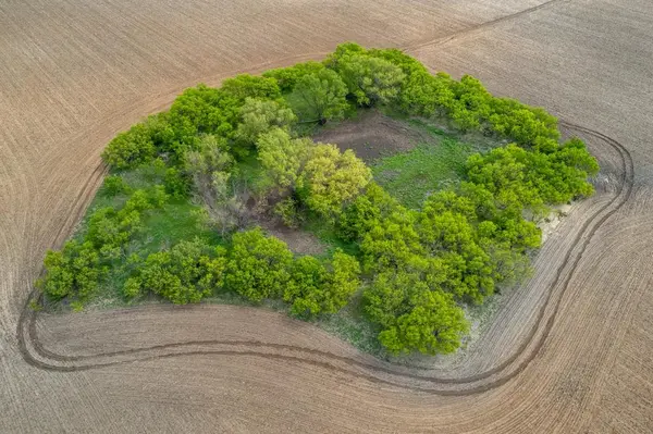 TBD County Road 159, Coleman, TX 76834