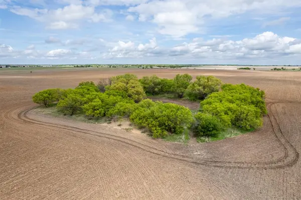 TBD County Road 159, Coleman, TX 76834