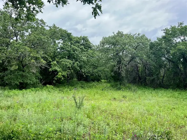 Lot 18 Kilkenny, Poolville, TX 76487