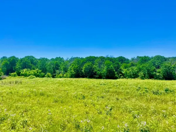 Lot 19 Kilkenny Rd, Poolville, TX 76487