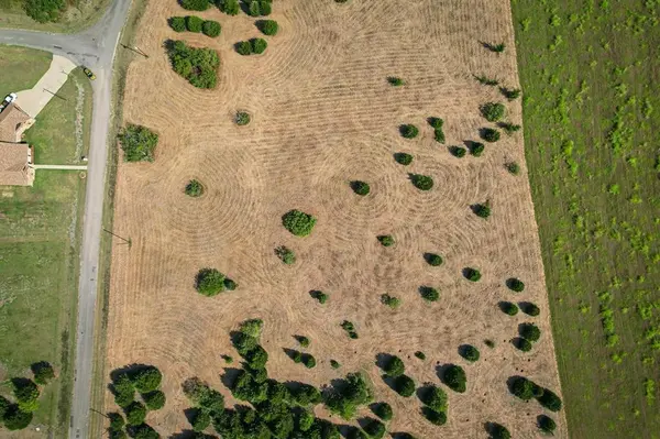 Tract 11 Baybridge Road, Kerens, TX 75144