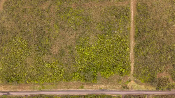 18-3460 GLENWOOD RD, Volcano, HI 96785