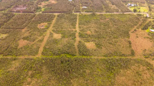 18-3448 GLENWOOD RD, Volcano, HI 96785