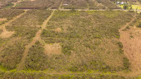 18-3448 GLENWOOD RD, Volcano, HI 96785