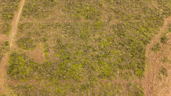 18-3448 GLENWOOD RD, Volcano, HI 96785