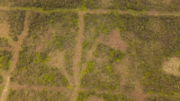 18-3428 GLENWOOD RD, Volcano, HI 96785