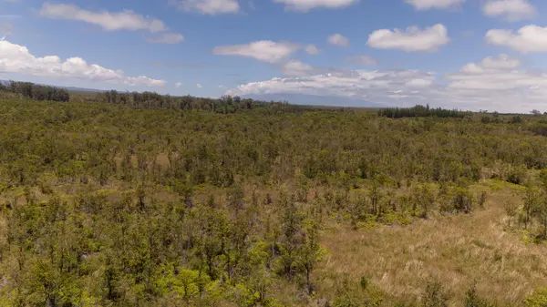 18-3428 GLENWOOD RD, Volcano, HI 96785