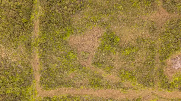 18-3428 GLENWOOD RD, Volcano, HI 96785